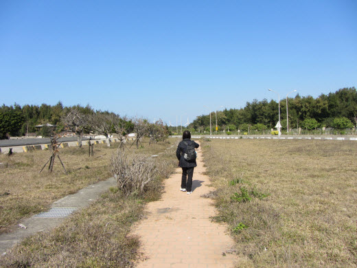 台中梧棲觀光漁港梧棲北堤路