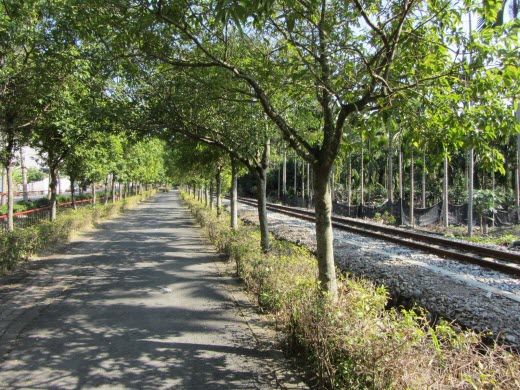 從集集火車站沿民權路走往明新書院