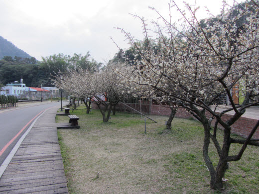 車埕鐵道博物園