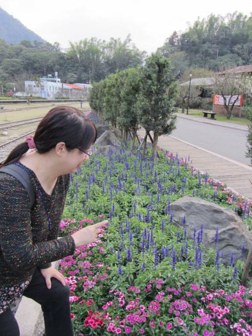 車埕鐵道博物園