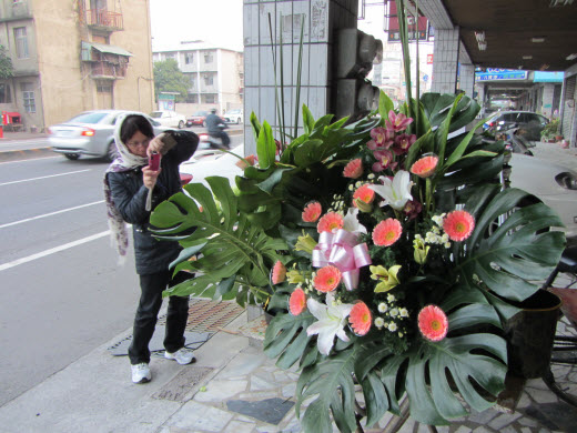 台南梧桐花店