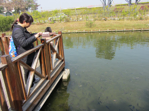 台南安平樹屋 濕地公園