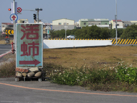 台南安平漁港