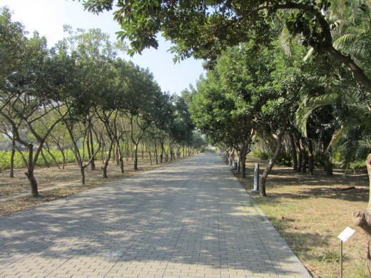 台南億載金城公園