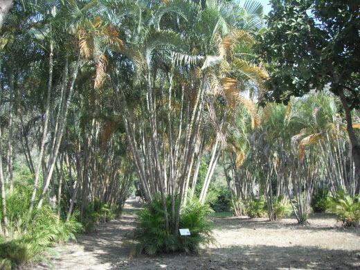 台南億載金城公園