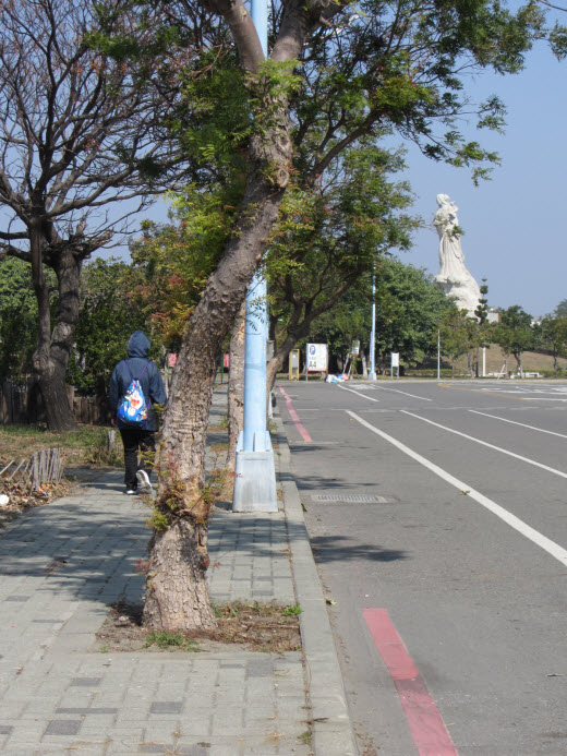 台南安億路