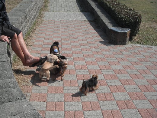 台南林默娘公園