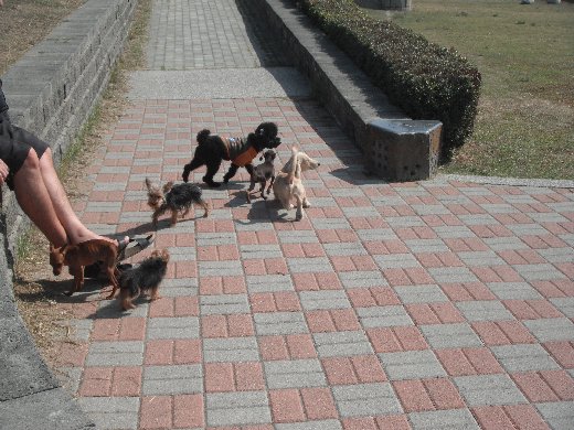 台南林默娘公園