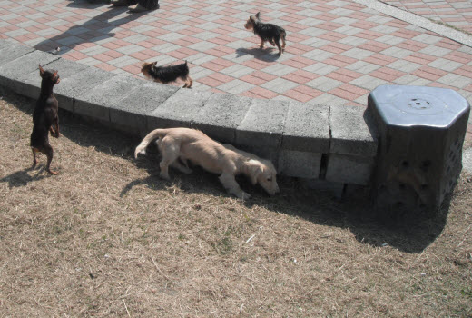 台南林默娘公園