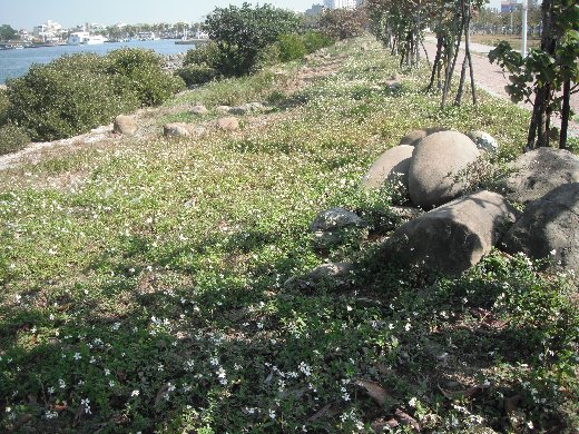 台南安平港港濱歷史公園