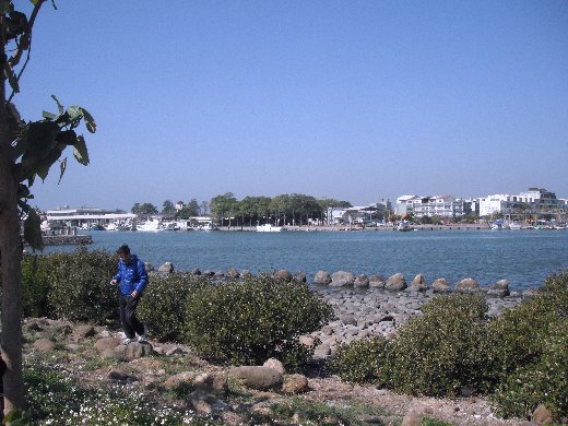 台南安平港港濱歷史公園 安平漁港