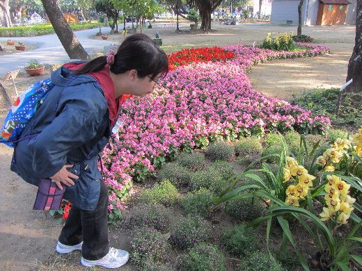 台南公園百花祭