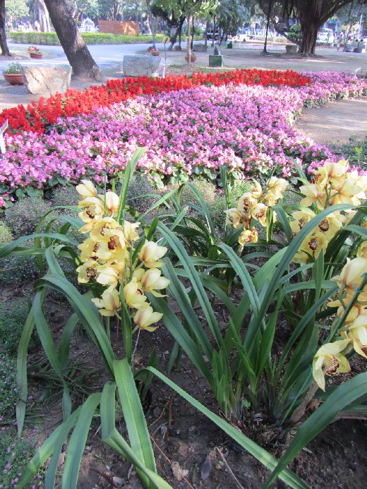 台南公園百花祭