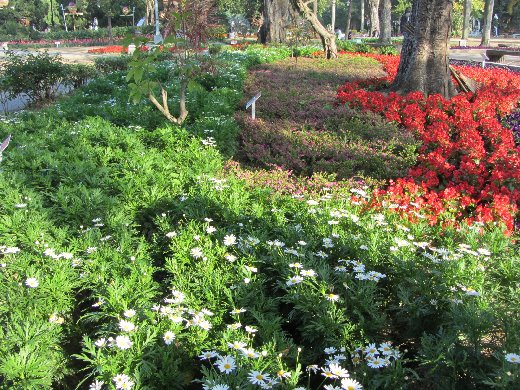 台南公園百花祭