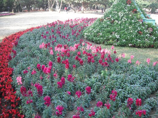 台南公園百花祭 灰姑娘區