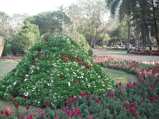 台南公園百花祭 灰姑娘區