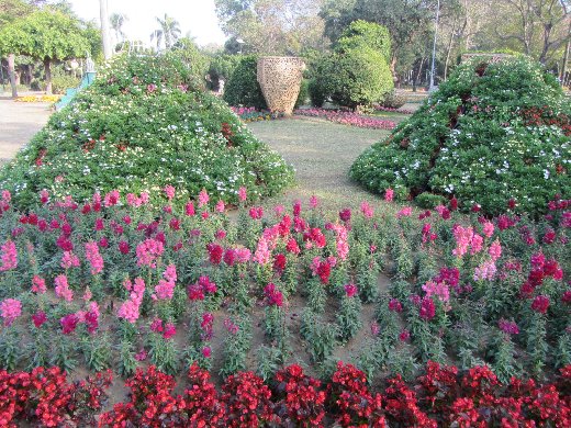 台南公園百花祭 灰姑娘區