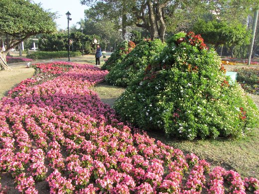 台南公園百花祭 灰姑娘區