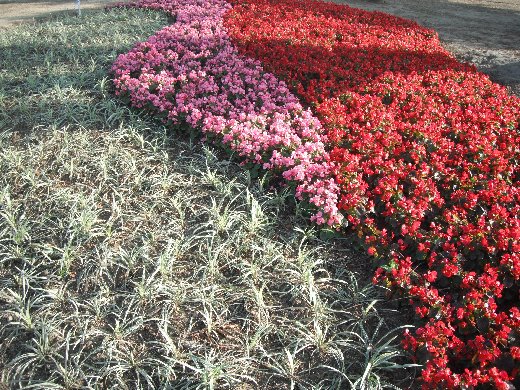 台南公園百花祭 灰姑娘區