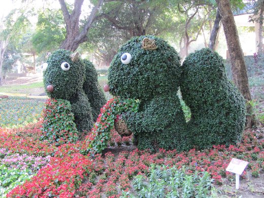 台南公園百花祭 灰姑娘區