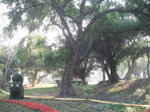 台南公園百花祭 灰姑娘區