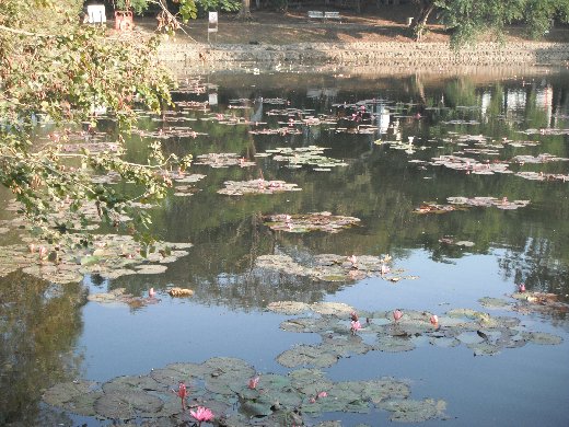 台南公園 燕潭