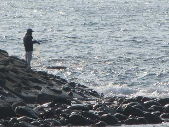 高雄旗津島 旗津貝殼博物館海岸