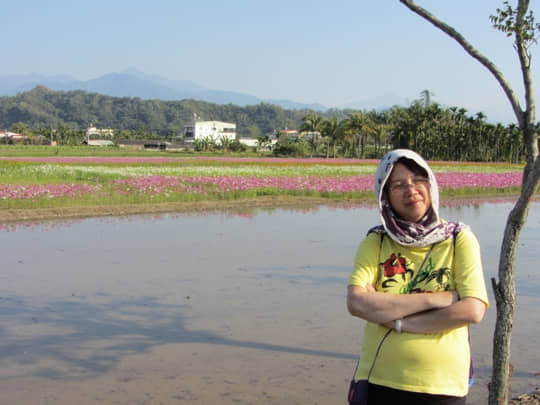 高雄美濃 美濃民權路 花田