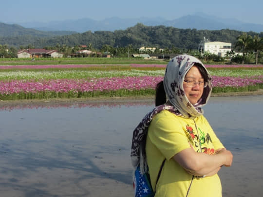 高雄美濃 美濃民權路