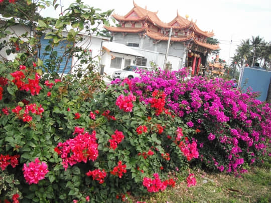 台東海濱公園 – 太皇殿