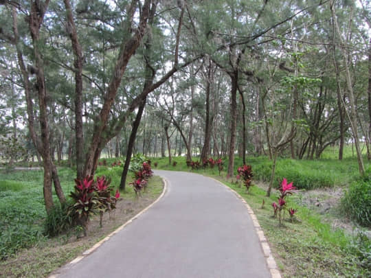 台東森林公園 山海鐵馬道