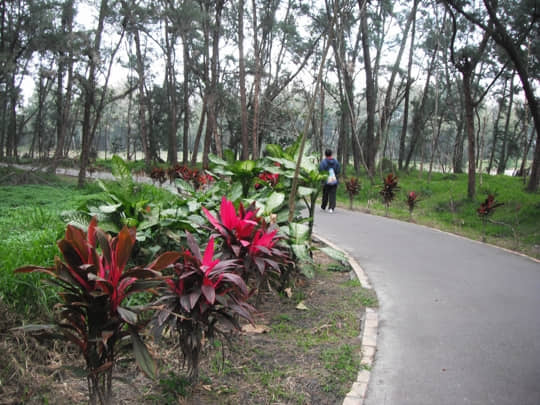 台東森林公園