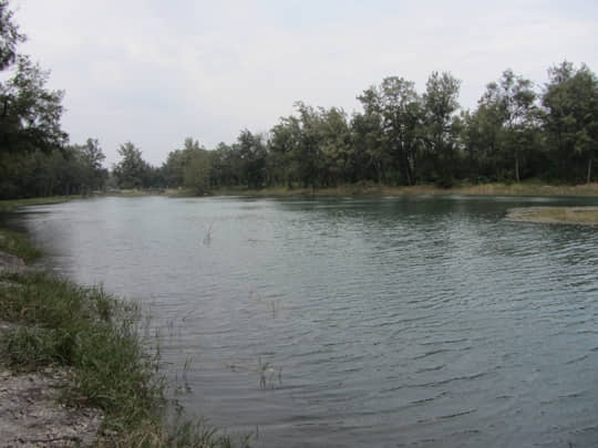 台東森林公園 琵琶湖