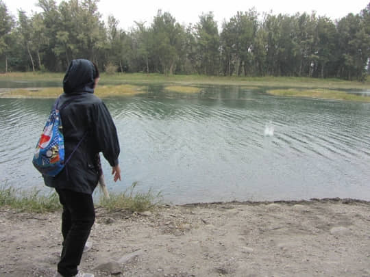 台東森林公園 琵琶湖