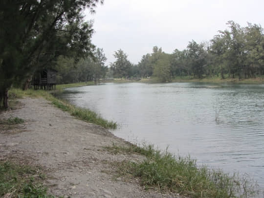 台東森林公園 琵琶湖