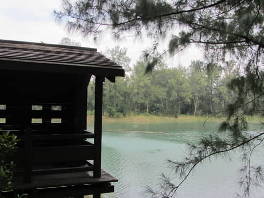 台東森林公園 琵琶湖 賞鳥小屋