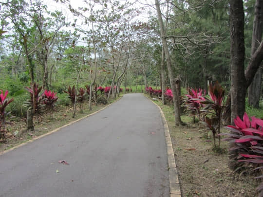 台東森林公園