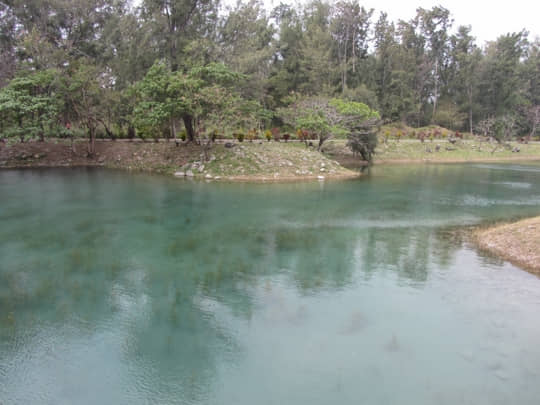 台東森林公園 琵琶湖