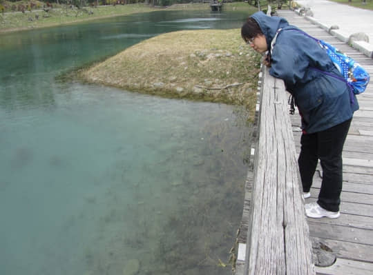 台東森林公園 琵琶湖