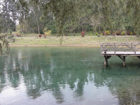 台東森林公園 琵琶湖