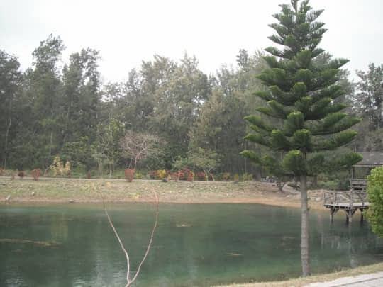 台東森林公園 琵琶湖