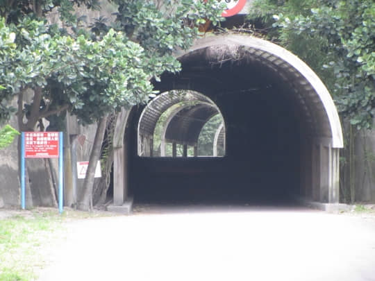  台東森林公園 花架隧道