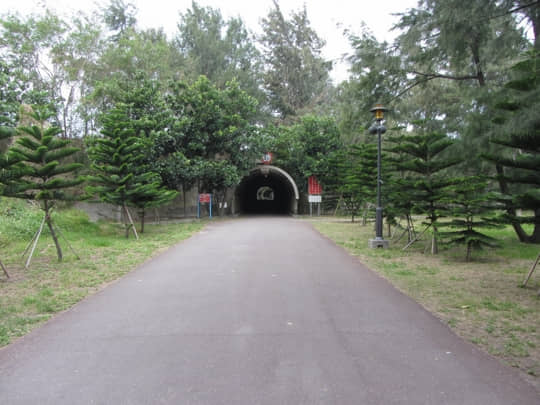  台東森林公園 花架隧道