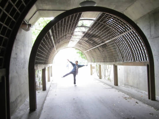  台東森林公園 花架隧道