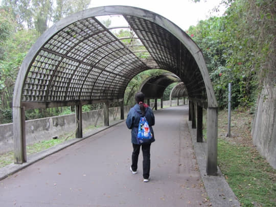  台東森林公園 花架隧道