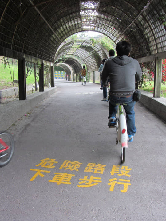  台東森林公園 花架隧道