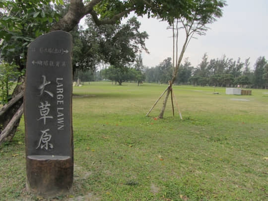  台東森林公園 大草原