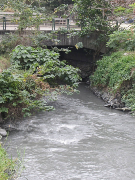 台東森林公園 卑南大圳上游