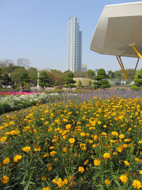 高雄中央公園捷運站