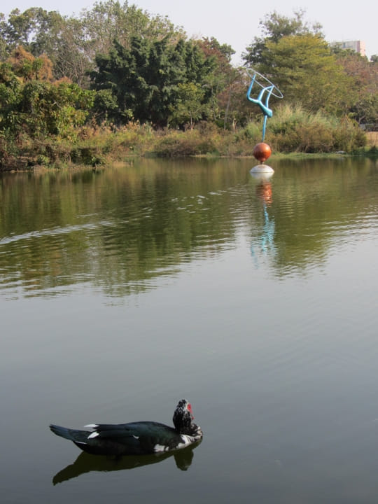 高雄中央公園 景觀湖